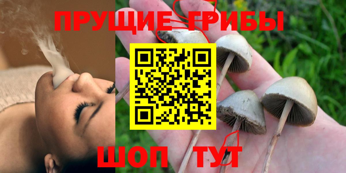 Галлюциногенные грибы Psilocybe  Псилоцибиновые грибы Psilocybine cubensis  Вход с VPN  Кохма 